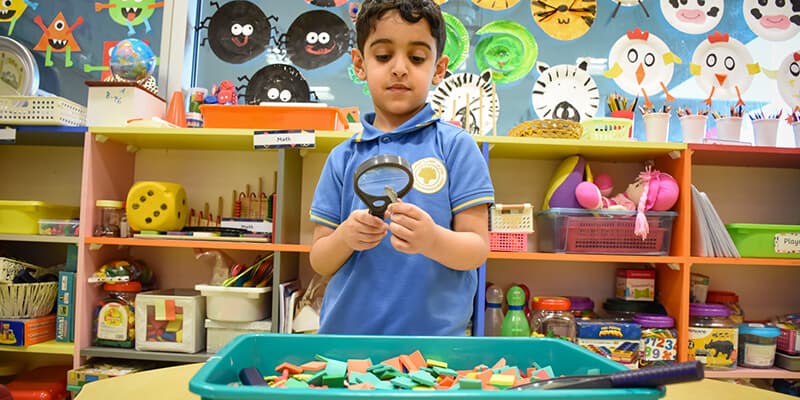 Al Dhafra Private Schools - Image 2