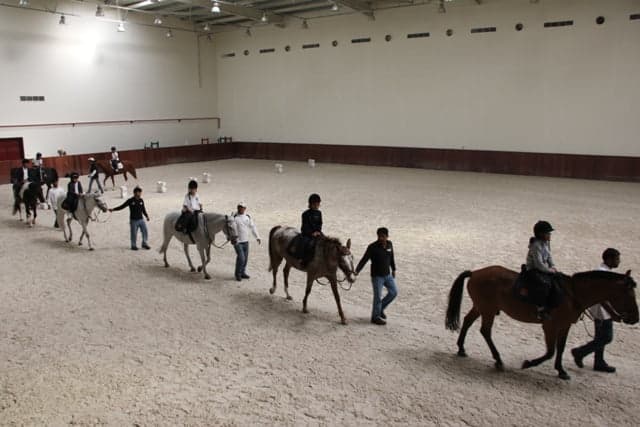 Al Ittihad National Private School, Al Ain - Image 2