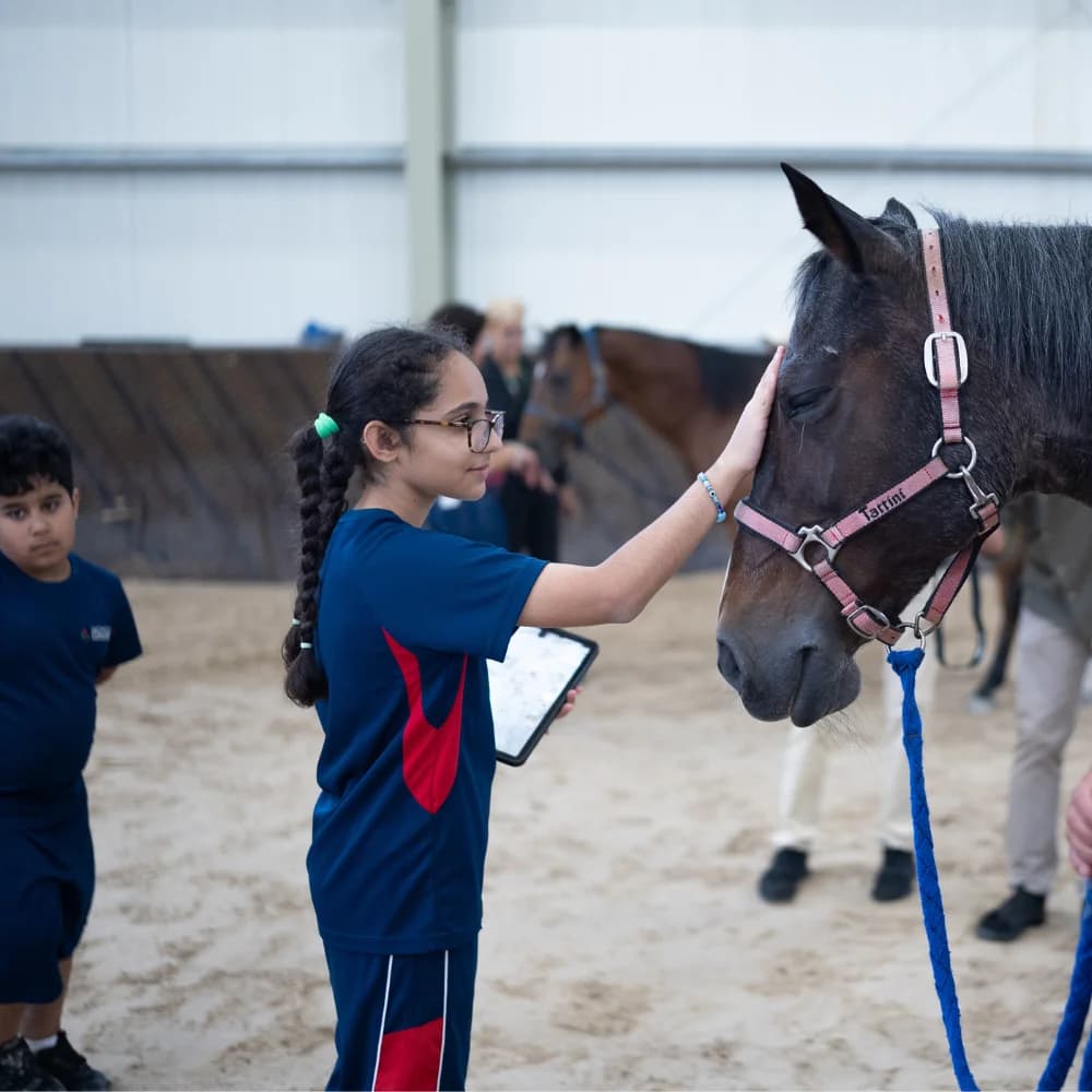 Italian International School - Image 14