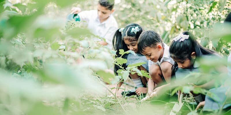 North Gate British Private School - Image 17