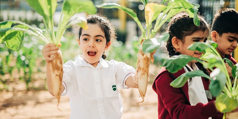 North Gate British Private School - Image 6