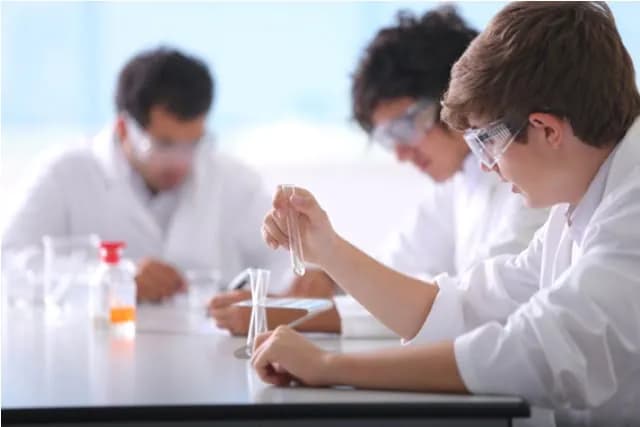 Yasmina British Academy, Aldar Academies - Image 4